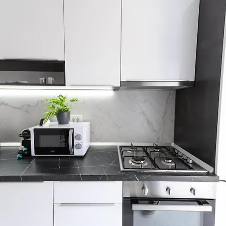 North Artistique - Aviatiei Apartment Bukarest