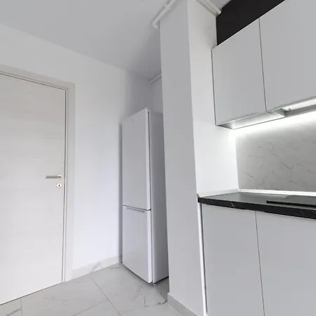 North Artistique - Aviatiei Apartment Bukarest