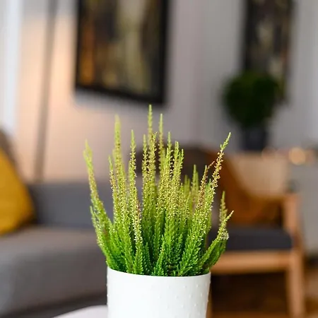 North Artistique - Aviatiei Apartment