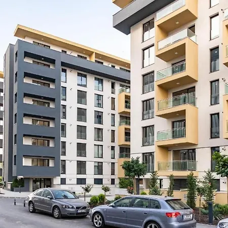 North Artistique - Aviatiei