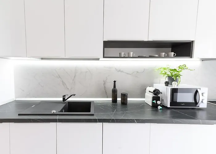 North Artistique - Aviatiei アパート *