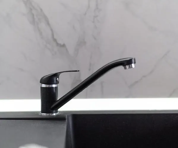 North Artistique - Aviatiei アパート *