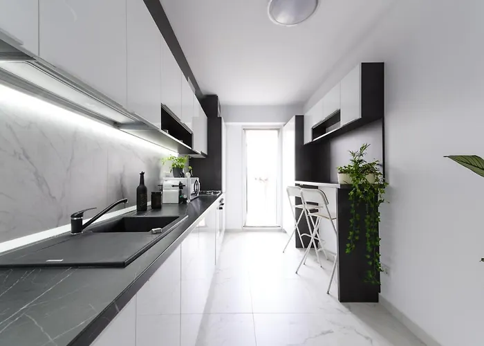 North Artistique - Aviatiei