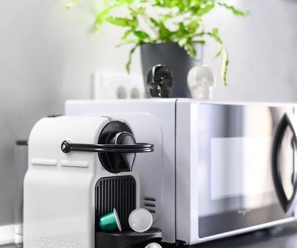 North Artistique - Aviatiei