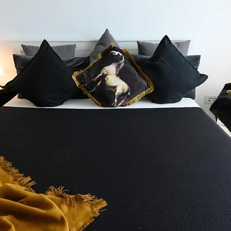 North Artistique - Aviatiei בוקרשט